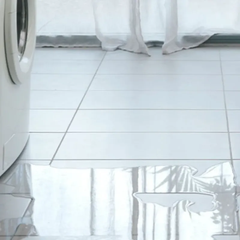 Appliance Leak Cleanup in Cheraw, SC