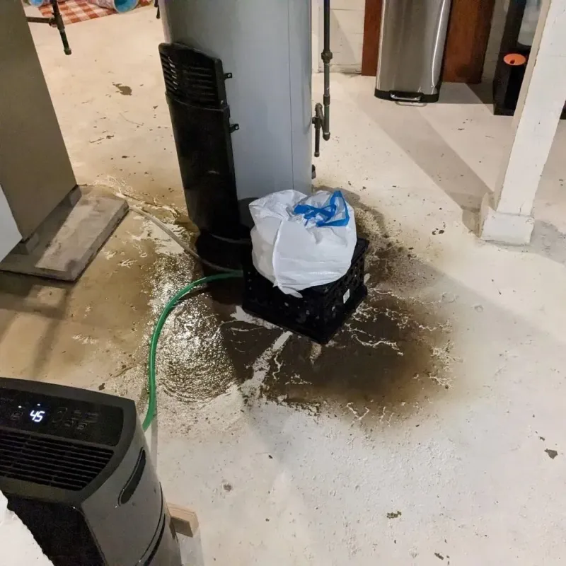 Sewage Backup Cleanup Service in Cheraw, SC